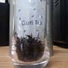 Earl Gray Blue
